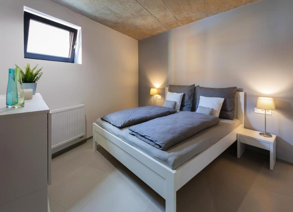 קרלובי וארי Nerudovka Apartment מראה חיצוני תמונה